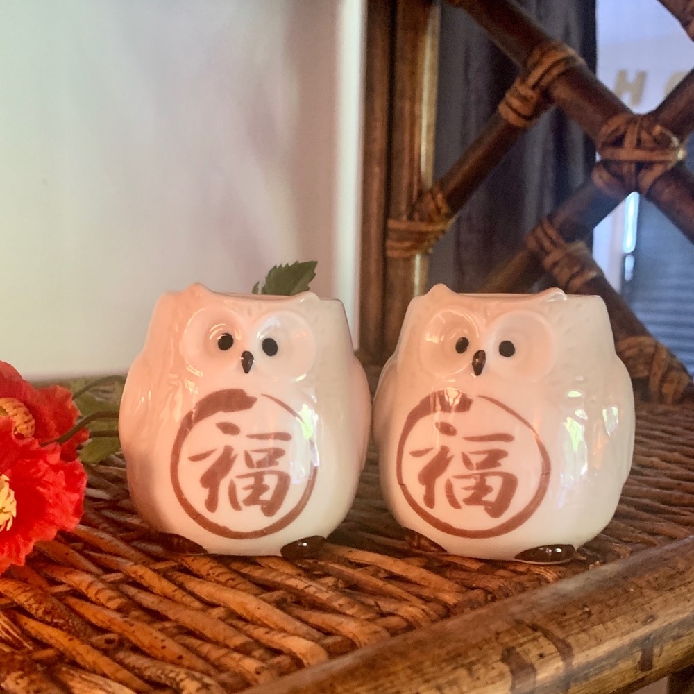 2 Owl Shaped & Painted Ceramic Green Tea Cups